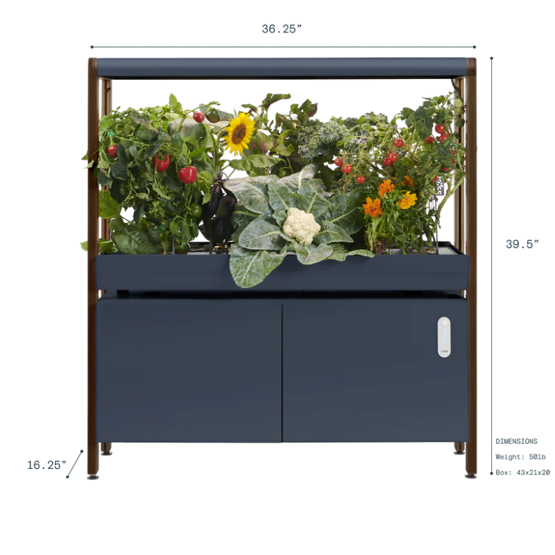 The Rise Garden 1-Level Charcoal Dimensions View